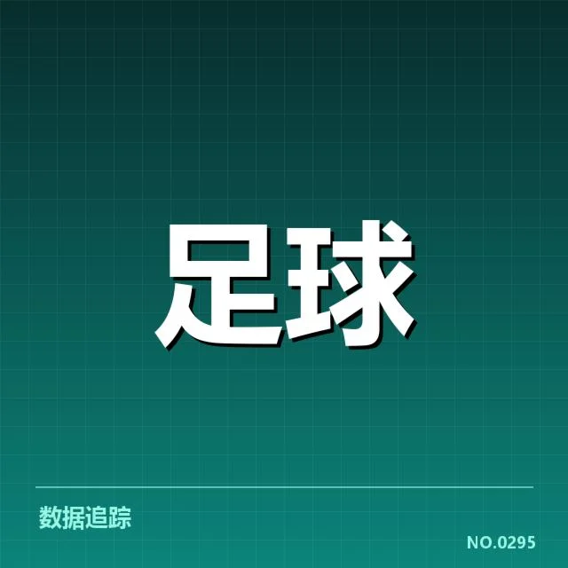 西汉姆联教练变动：球队未来发展引关注